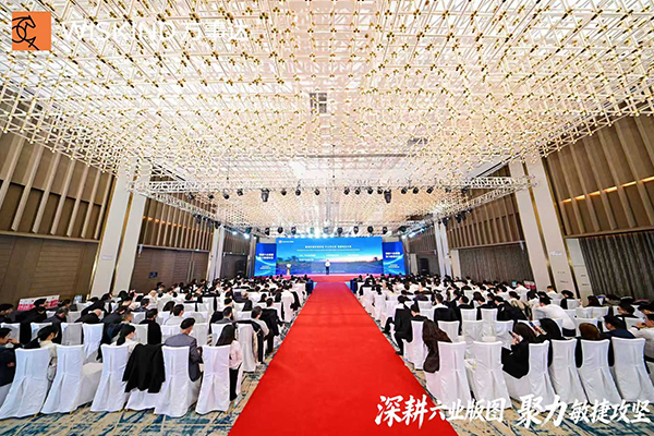 �������³̣����´�ྻ�Ƽ�2025����ܽ�����ô��Բ���ٰ�